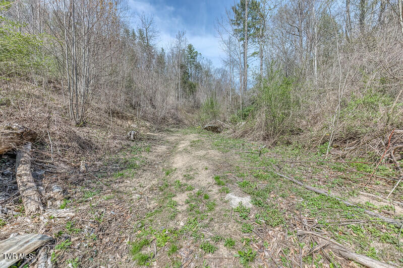 155 Tower Road Roan Mountain, TN 37687 - Photo 10 of 35 IMG_2677