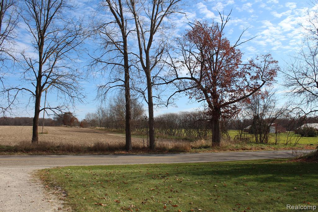 1228 Elliott Road Fowlerville, MI 48836 - Photo 4 of 47