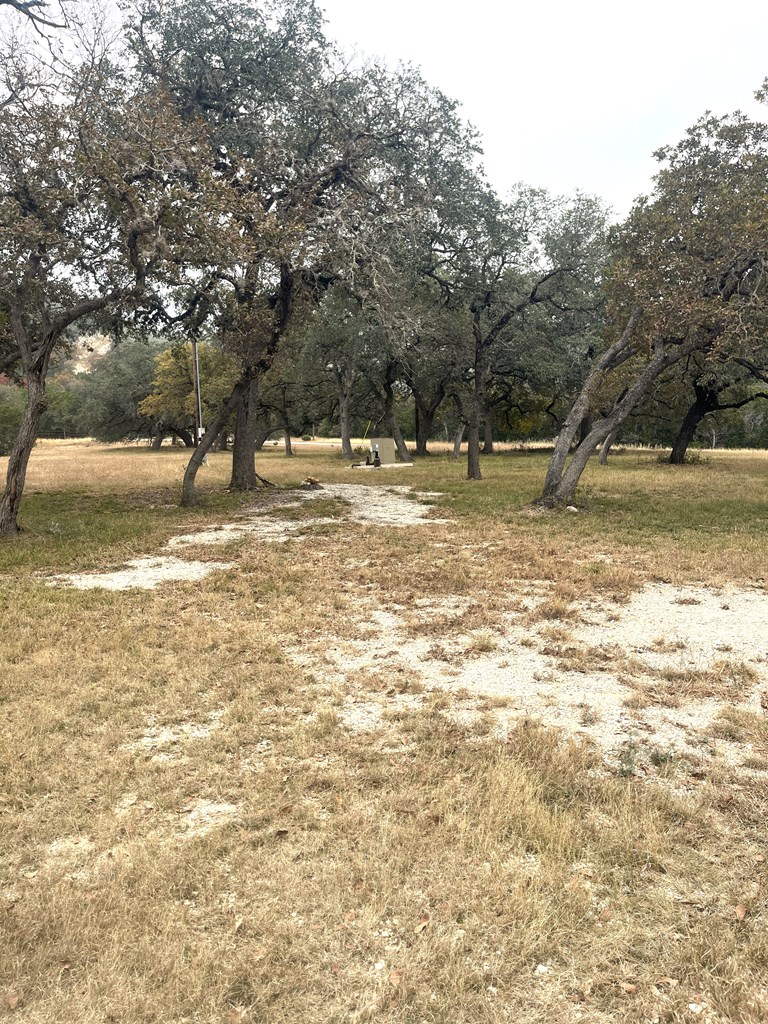 695 Big Shades Road Concan, TX 78838 - Photo 12 of 27 a view of a yard with wooden fence