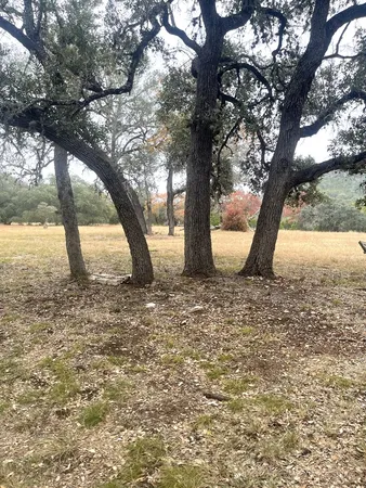 $270,000 | 695 Big Shades Road, Concan, TX 78838