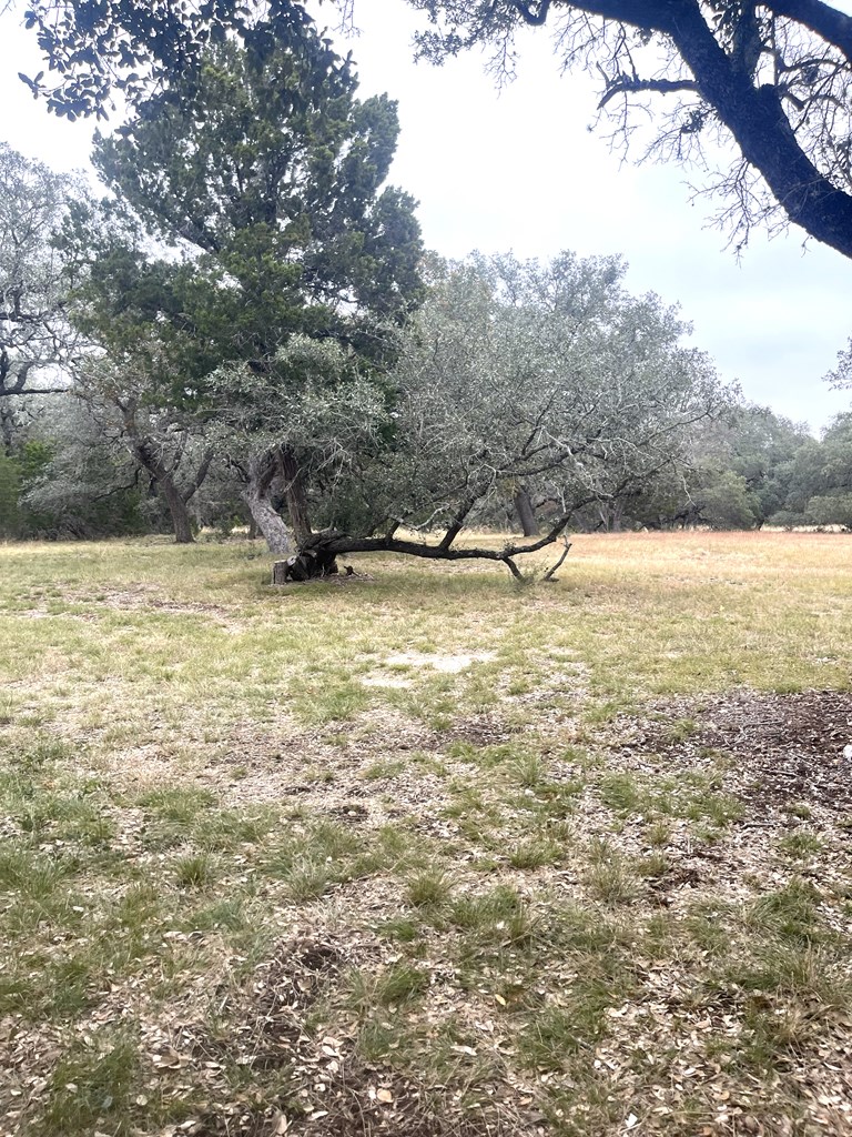 695 Big Shades Road Concan, TX 78838 - Photo 18 of 27 a view of an ocean beach