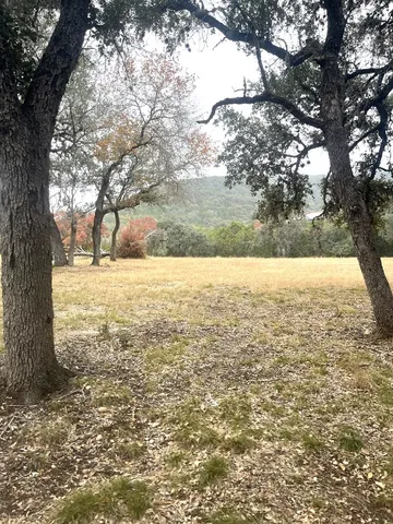 a view of yard with large trees