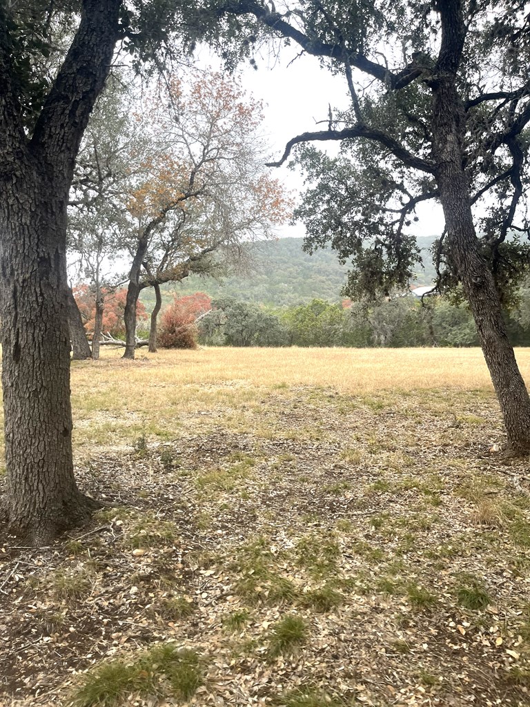 695 Big Shades Road Concan, TX 78838 - Photo 19 of 27 a view of yard with large trees