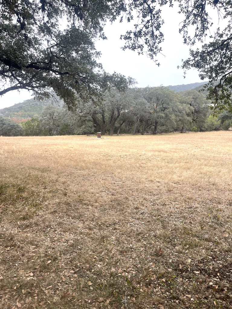 695 Big Shades Road Concan, TX 78838 - Photo 23 of 27