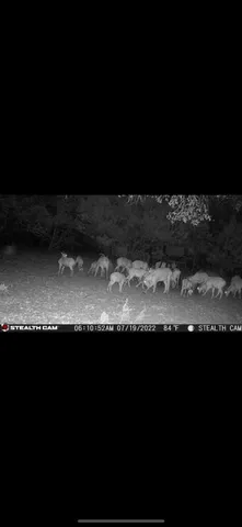 a view of beach and ocean