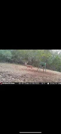 $270,000 | 695 Big Shades Road, Concan, TX 78838