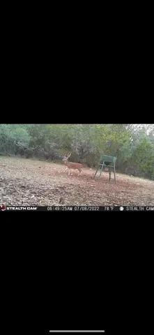 a view of furniture in a kitchen