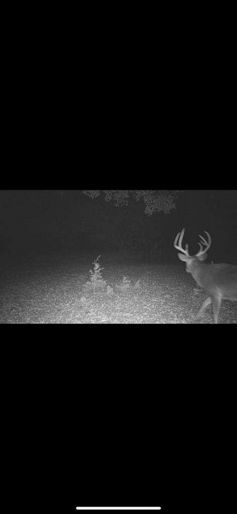 695 Big Shades Road Concan, TX 78838 - Photo 27 of 27 a view of furniture in a kitchen