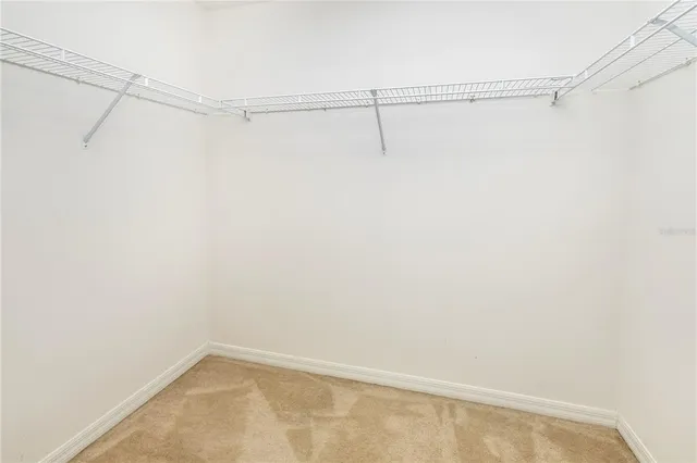 a view of a room with racks on the wall