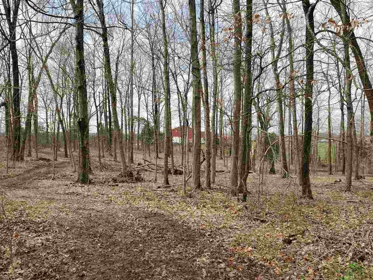 301 Lack Road Elkton, KY 42220 - Photo 30 of 33 Gallery Image 30