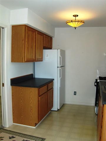 457 Miller Avenue Rochester, MI 48307 - Photo 7 of 26 Kitchen Cabinets