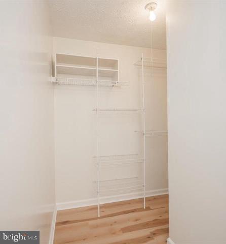 2025 North Glebe Road Arlington, VA 22207 - Photo 12 of 19 Walk in Closet in Primary Bedroom