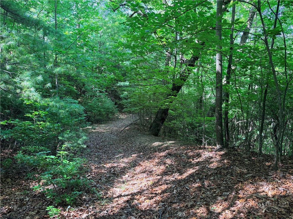 171-172b Blue Rock Road Purlear, NC 28665 - Photo 12 of 47
