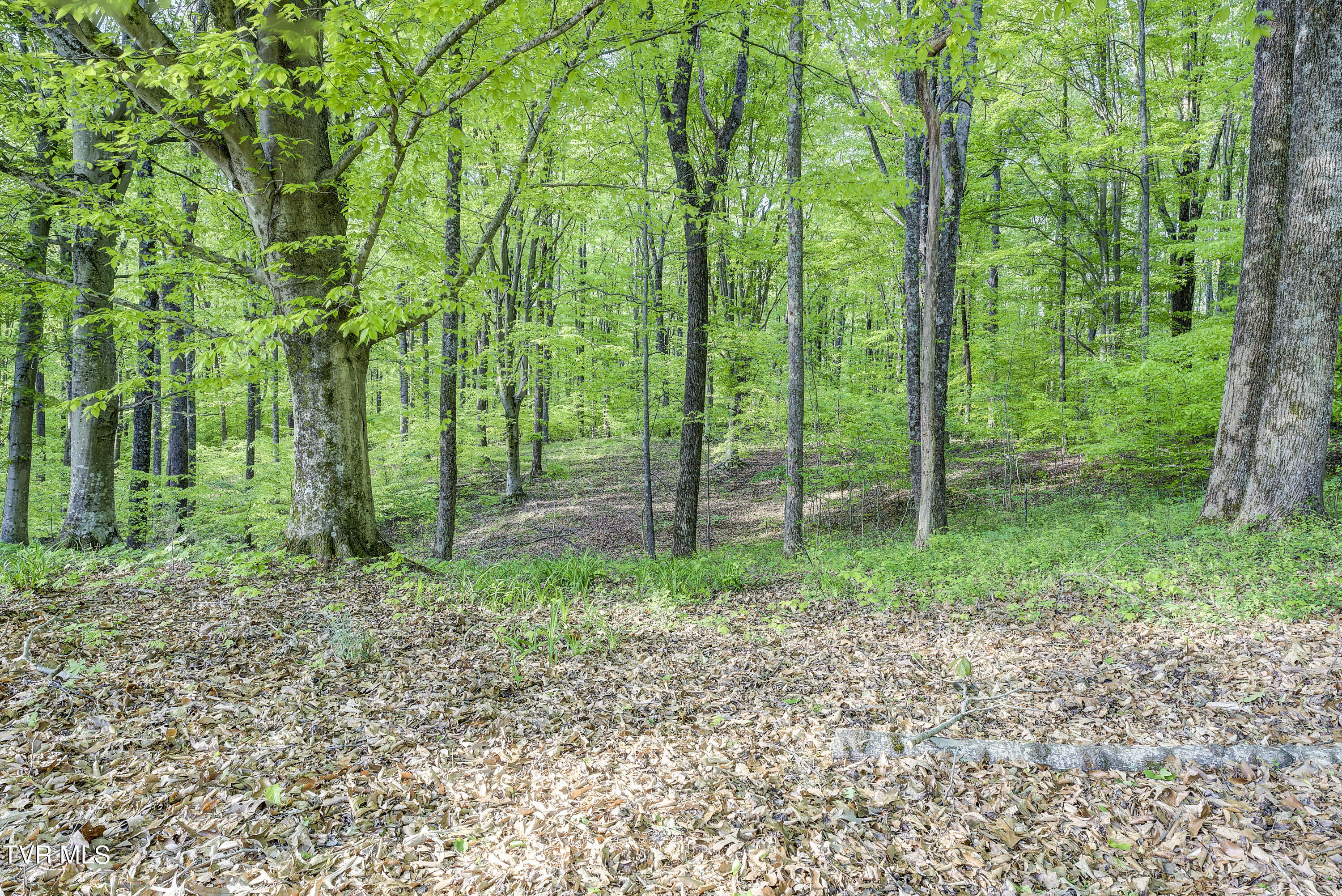 119 Cochran Road Jonesborough, TN 37659 - Photo 49 of 78 49