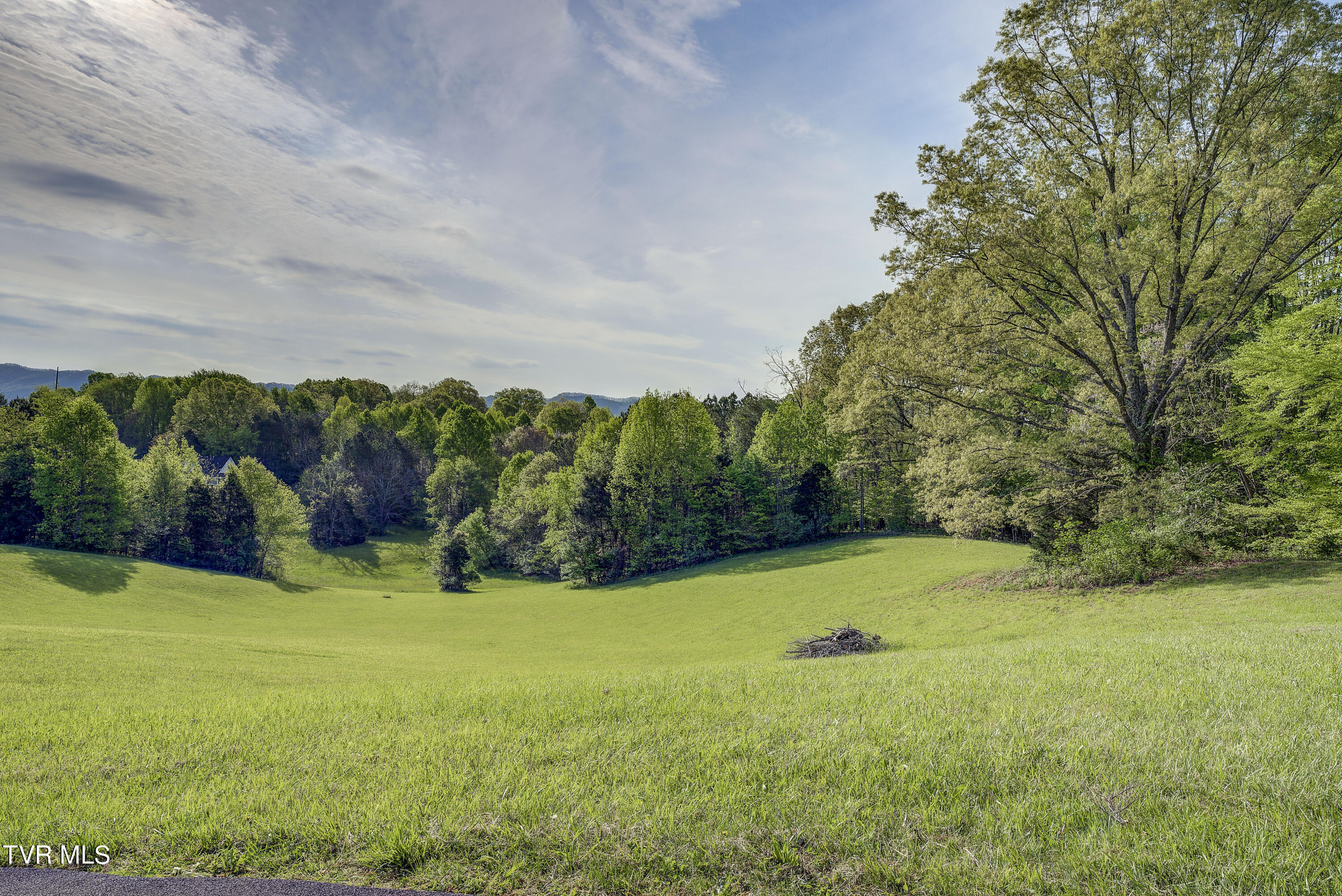 119 Cochran Road Jonesborough, TN 37659 - Photo 54 of 78 54