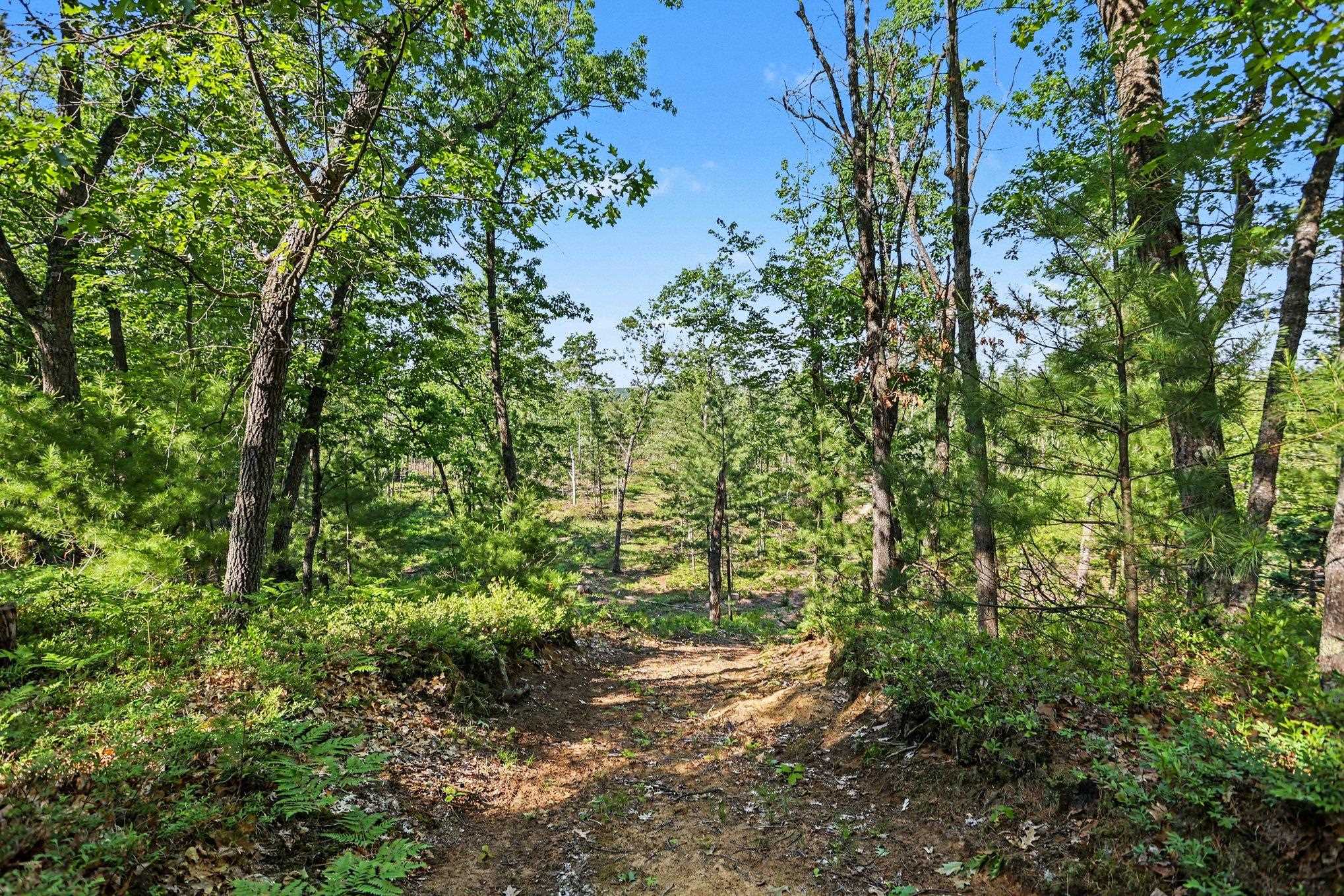 0 Fairview Road West Branch, MI 48661 - Photo 21 of 23