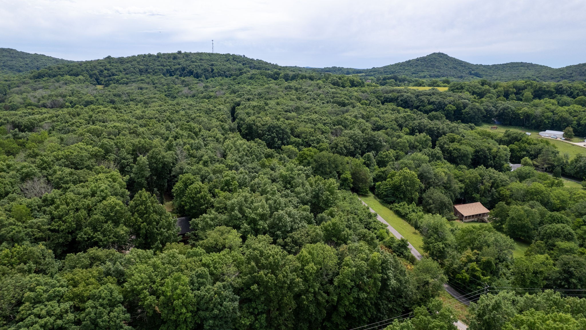 3398 Poplar Hill Road Watertown, TN 37184 - Photo 55 of 62