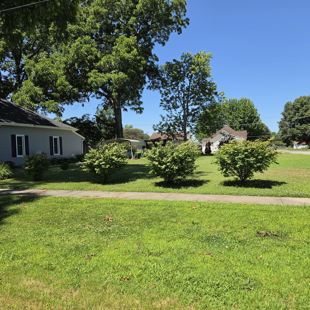 903 South Walnut Street Sesser, IL 62884 - Photo 14 of 16