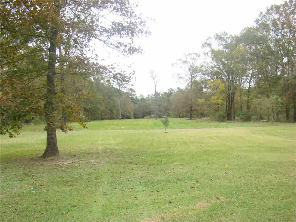 231 Varvarosky Road Deville, LA 71328 - Photo 3 of 10