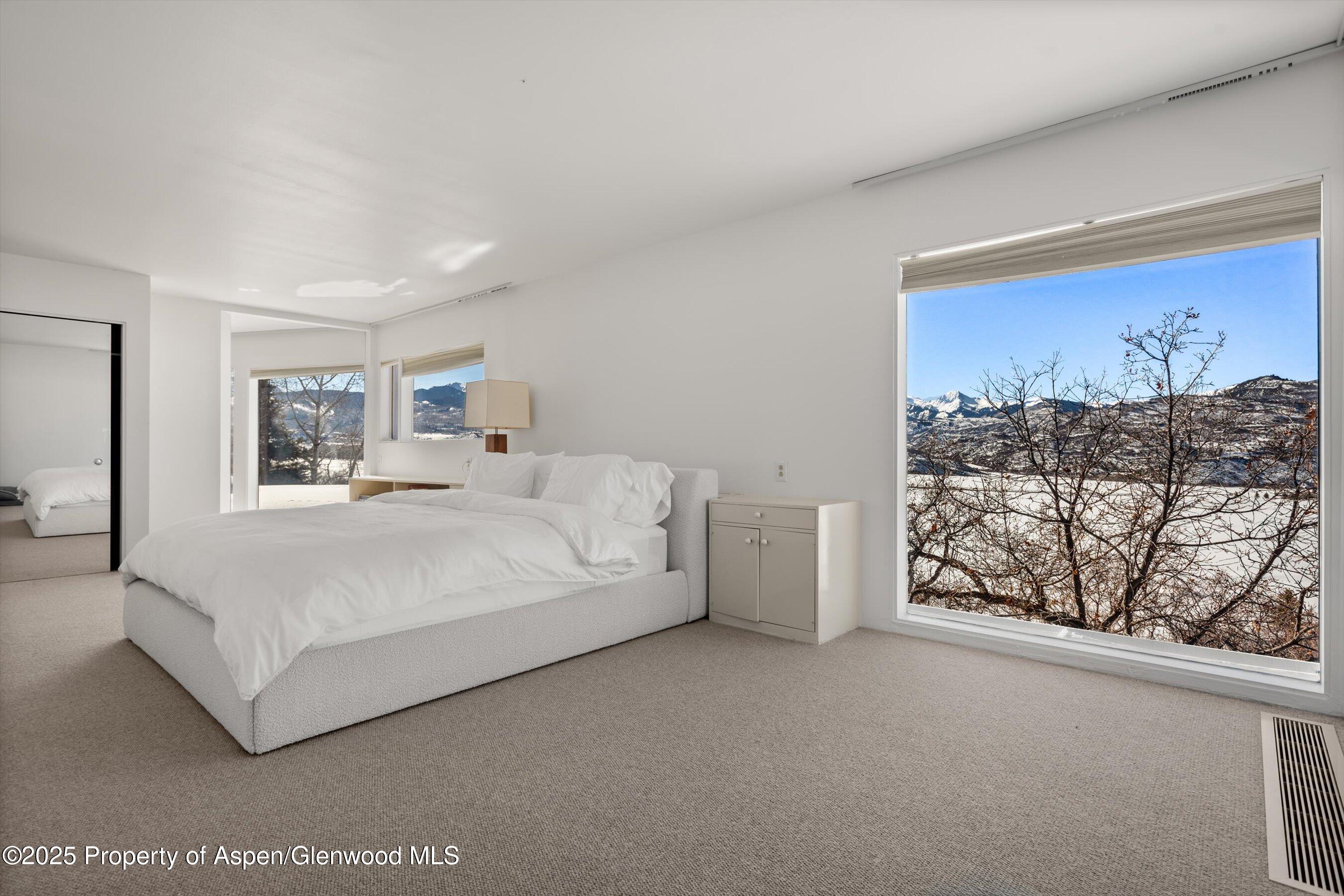 260 Star Mesa Road Aspen, CO 81612 - Photo 16 of 55 14-260StarMesaRd_25013114
