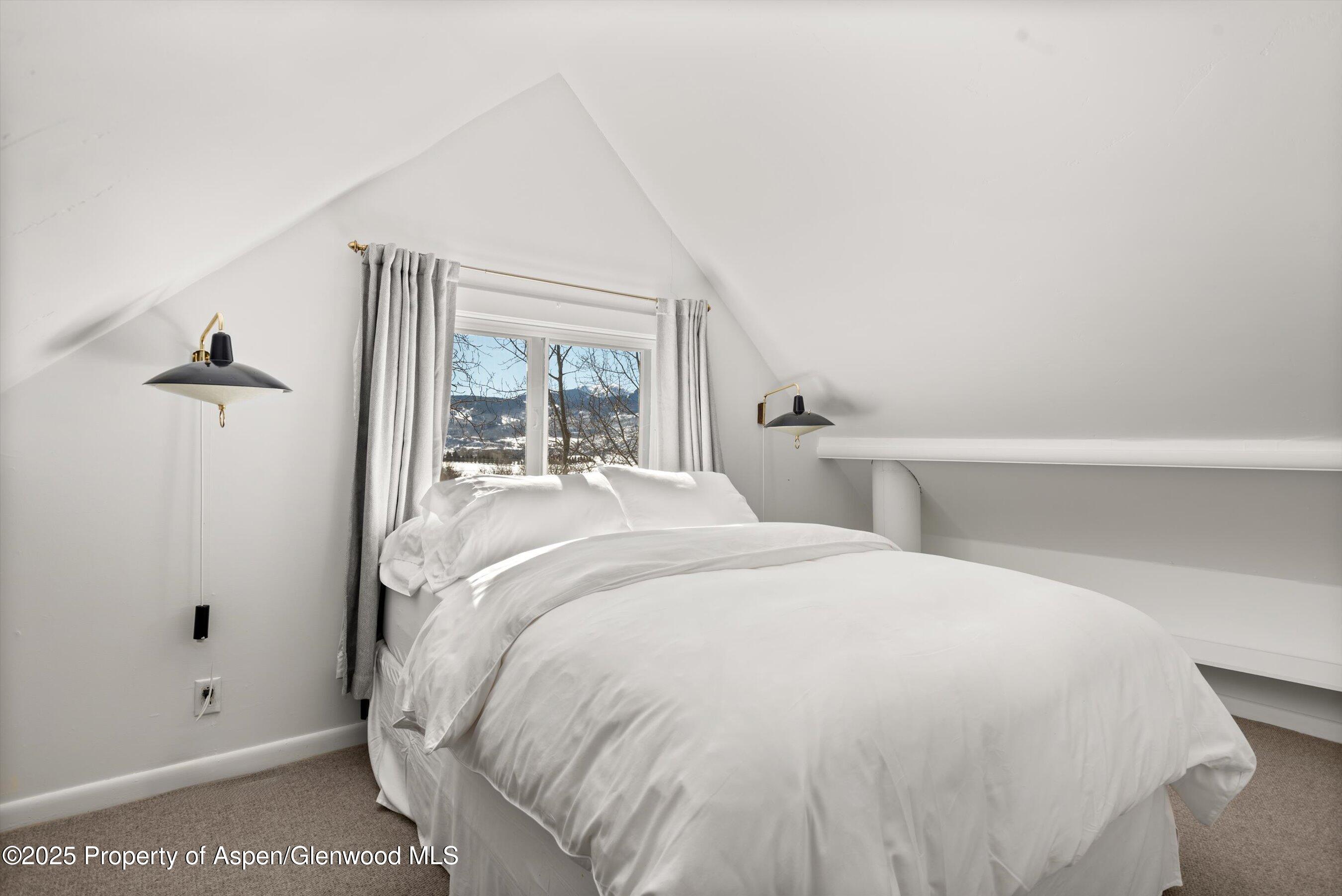 260 Star Mesa Road Aspen, CO 81612 - Photo 19 of 55 18-260StarMesaRd_25013118