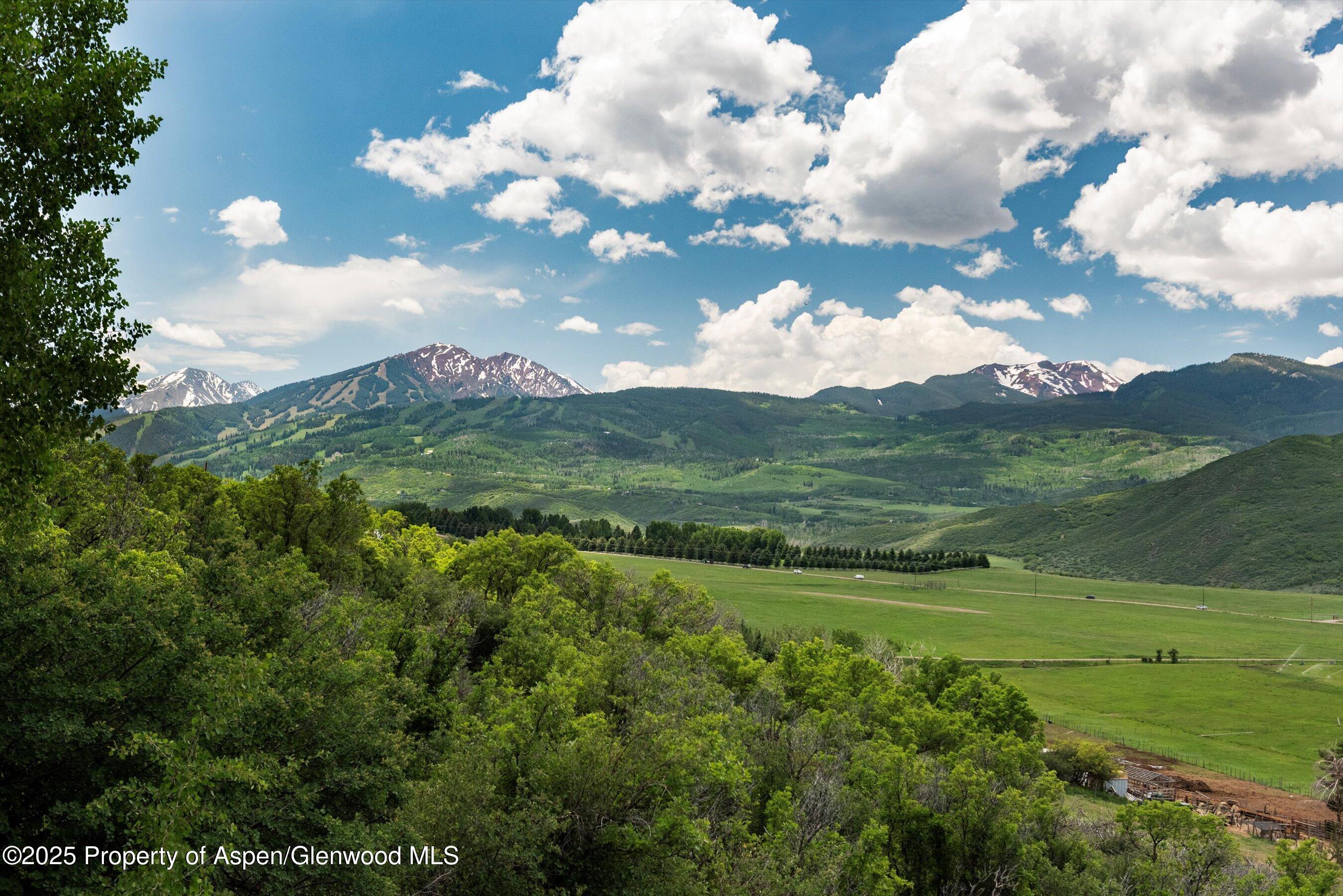 260 Star Mesa Road Aspen, CO 81612 - Photo 27 of 55 61-260StarMesaRd_250612018