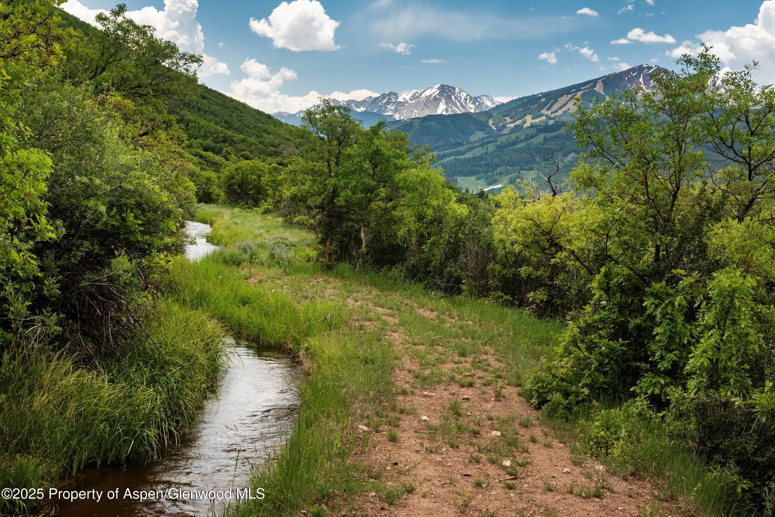 260 Star Mesa Road Aspen, CO 81612 - Photo 29 of 55 59-260StarMesaRd_250612016