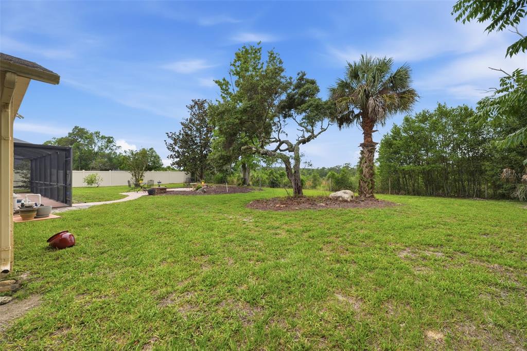 5227 Suwannee Road Weeki Wachee, FL 34607 - Photo 47 of 62 a view of a garden