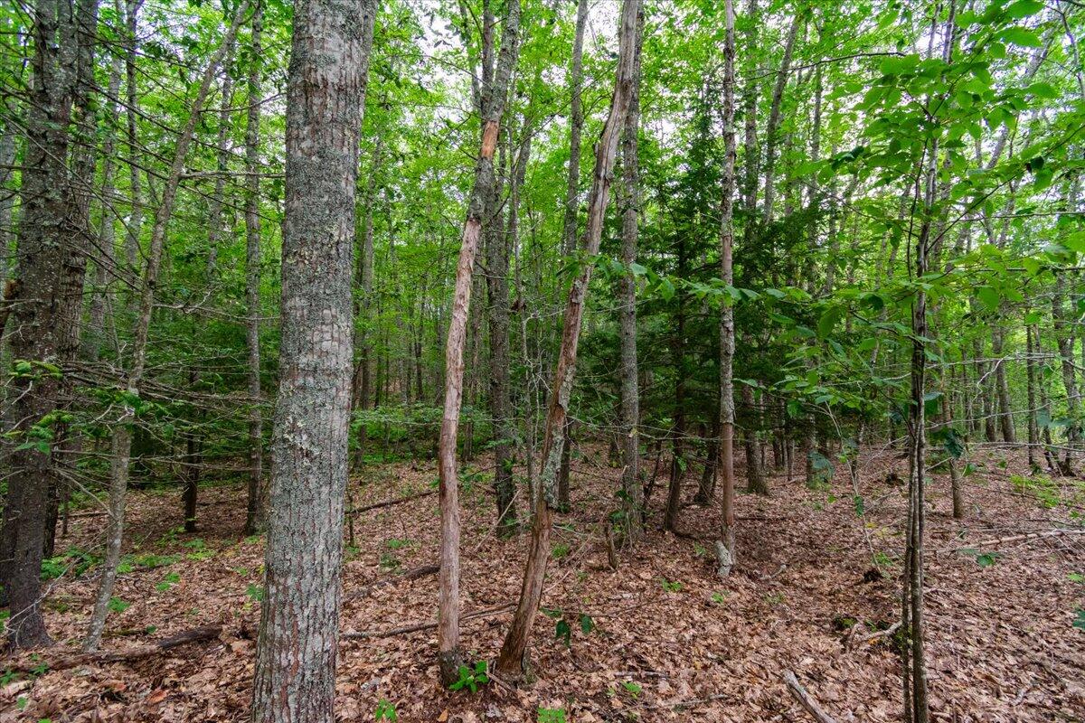 15 Alford Lake Road Hope, ME 04847 - Photo 9 of 12 Map 15 Lot 4 Alford Lake Rd, Hope