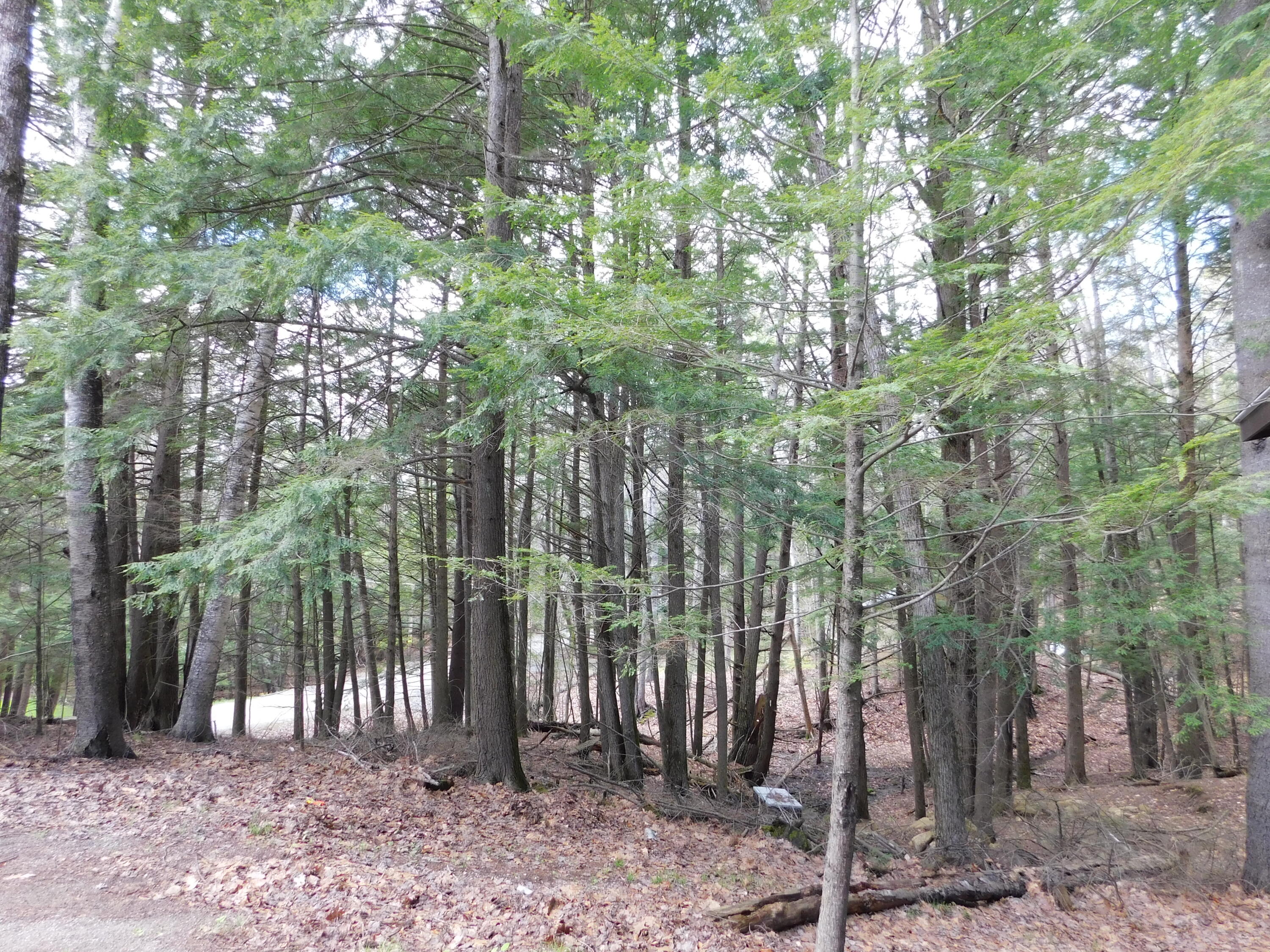 37 Torsey Shores Road Readfield, ME 04355 - Photo 28 of 41 DSCN0733