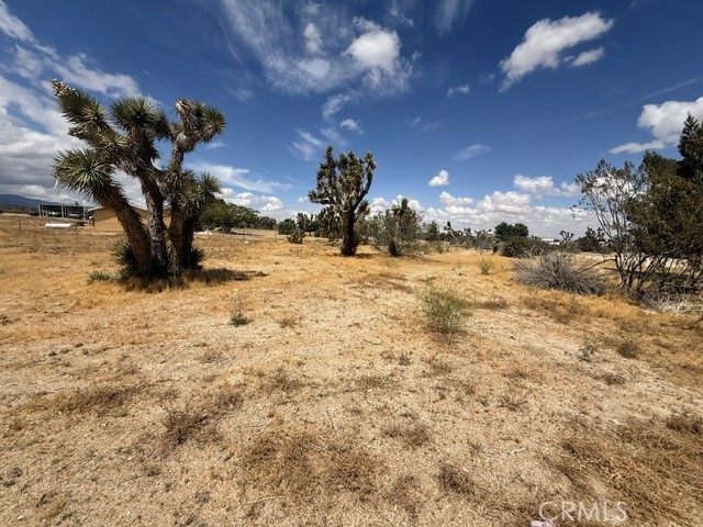 397 Joshua Hills Road Pinon Hills, CA 92372 - Photo 15 of 20