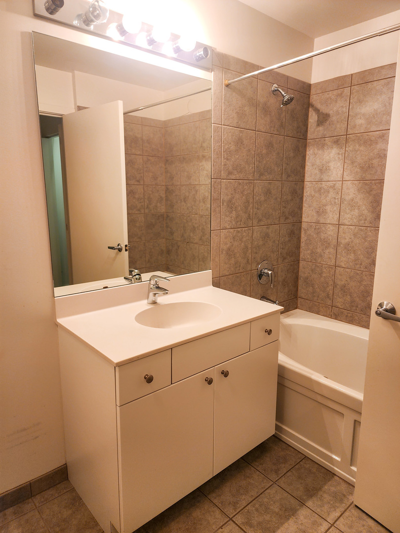 235 West Van Buren Street, Unit 3209 Chicago, IL 60607 - Photo 18 of 19