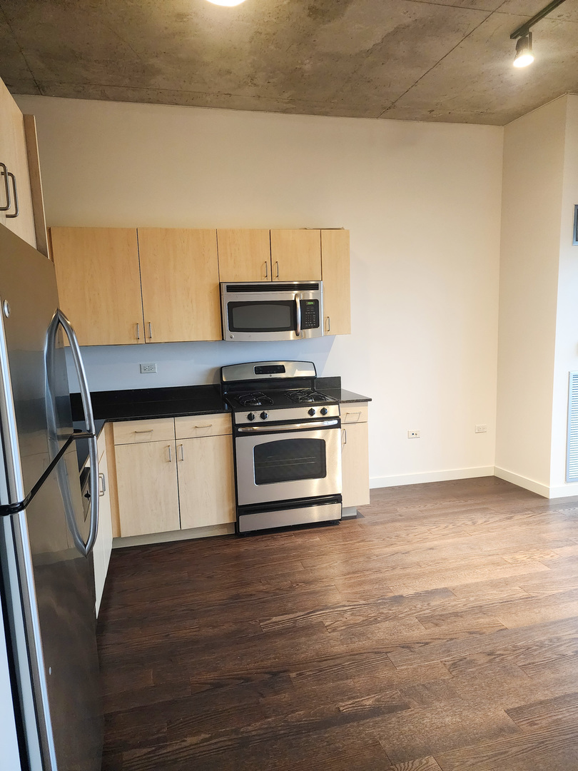 235 West Van Buren Street, Unit 3209 Chicago, IL 60607 - Photo 3 of 19