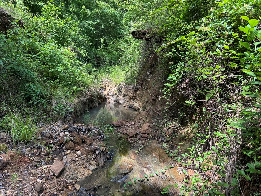 650 Highway 0080 Butler Ga 31006 Butler, GA 31006 - Photo 11 of 12