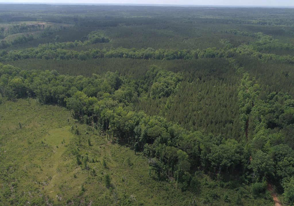 650 Highway 0080 Butler Ga 31006 Butler, GA 31006 - Photo 4 of 12