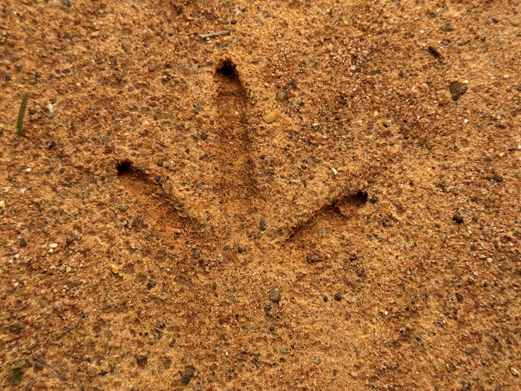 650 Highway 0080 Butler Ga 31006 Butler, GA 31006 - Photo 7 of 12