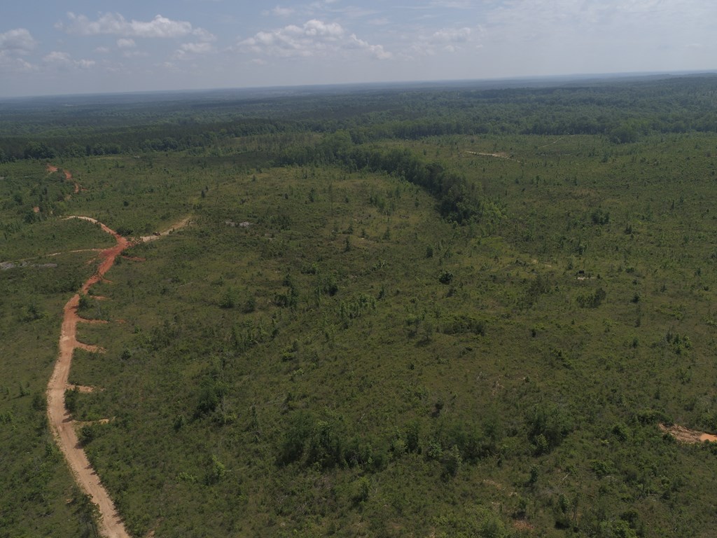 650 Highway 0080 Butler Ga 31006 Butler, GA 31006 - Photo 8 of 12