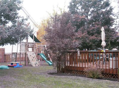 4200 Ridgewater Drive Lexington, KY 40515 - Photo 4 of 38 More fenced room around the corner for t