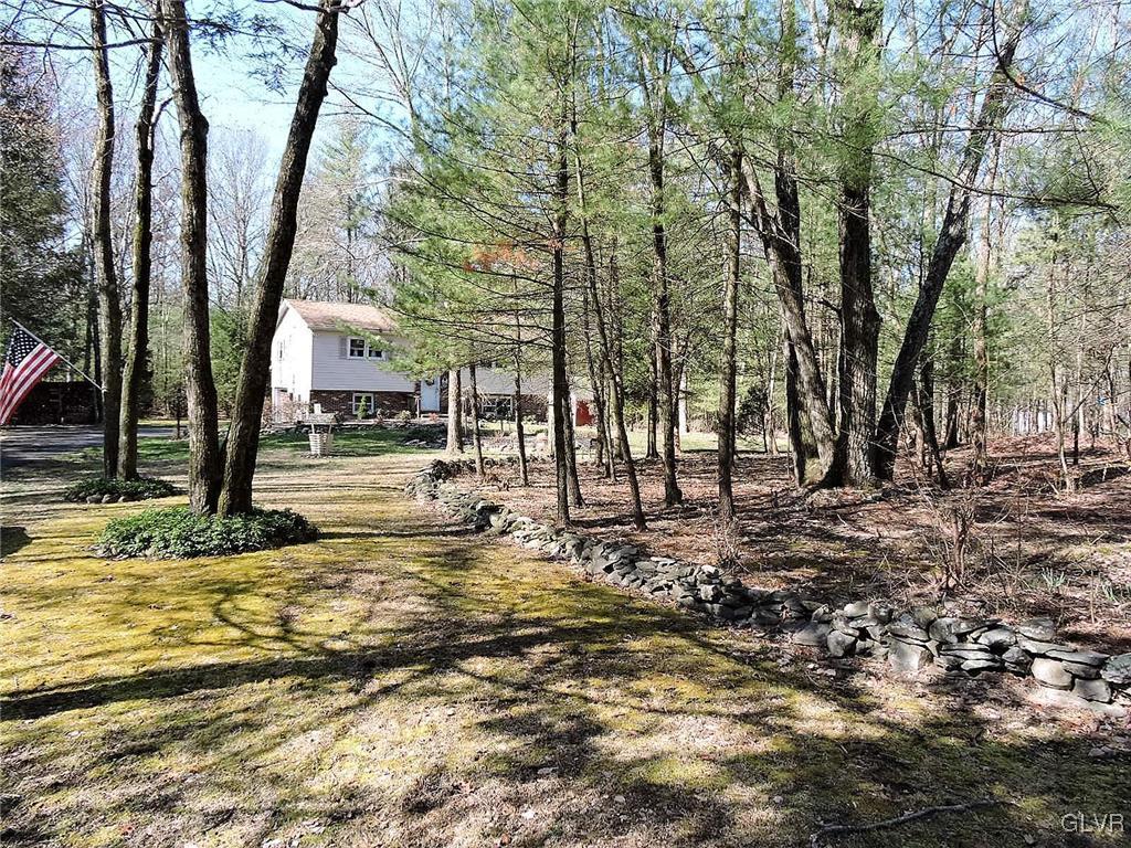 621 Long Mountain Road Effort, PA 18330 - Photo 2 of 22 a view of a yard with trees