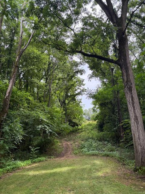 0 East River Road Buchanan, MI 49107 - Photo 1 of 13 IMG_9039