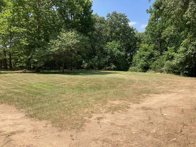 0 East River Road Buchanan, MI 49107 - Photo 11 of 13 IMG_5859