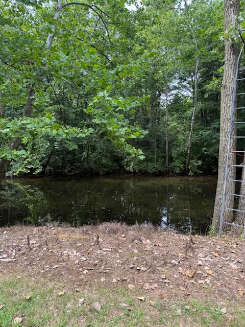 0 East River Road Buchanan, MI 49107 - Photo 2 of 13 IMG_9032
