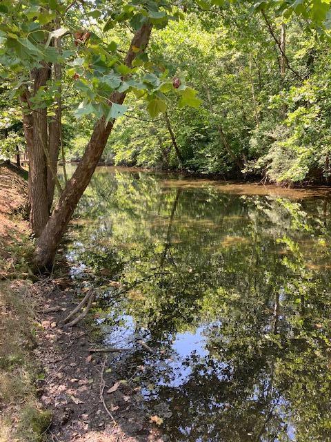 0 East River Road Buchanan, MI 49107 - Photo 3 of 13 IMG_5864