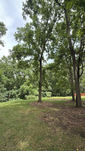 0 East River Road Buchanan, MI 49107 - Photo 5 of 13 IMG_9053