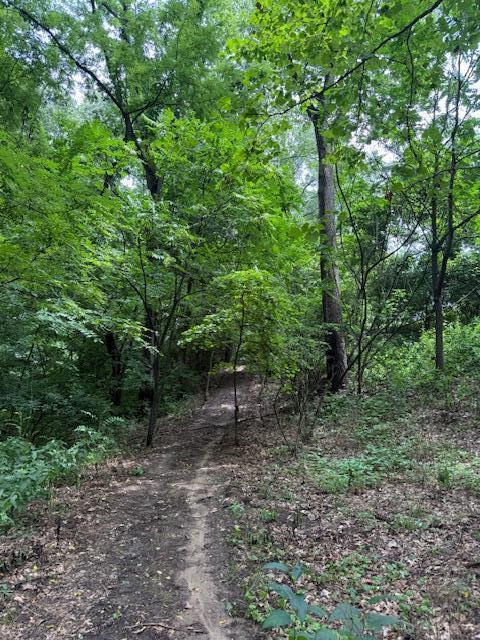 0 East River Road Buchanan, MI 49107 - Photo 6 of 13 IMG_9040