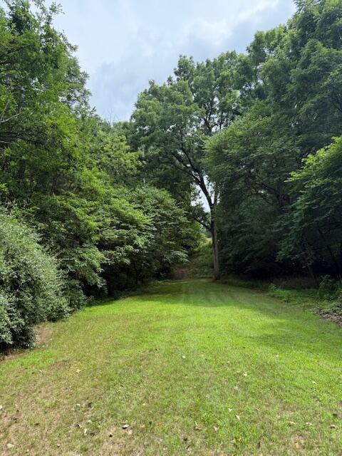 0 East River Road Buchanan, MI 49107 - Photo 7 of 13 IMG_9037