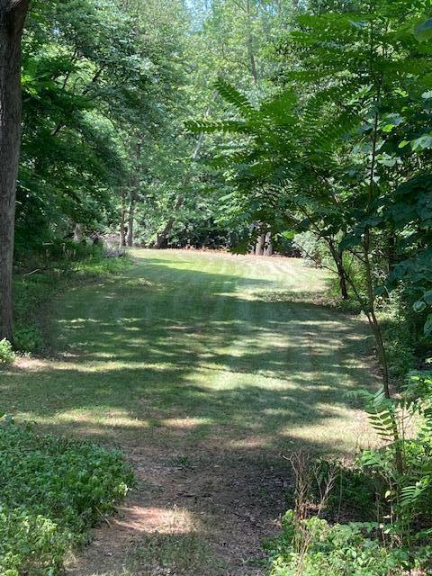 0 East River Road Buchanan, MI 49107 - Photo 9 of 13 IMG_5861