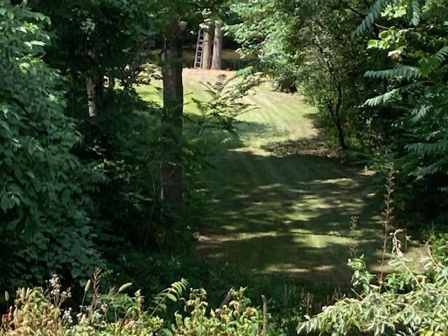 0 East River Road Buchanan, MI 49107 - Photo 10 of 13 IMG_5860