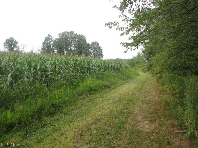 Heisler Road North Benton, OH 44449 - Photo 3 of 14 Gallery Image 3