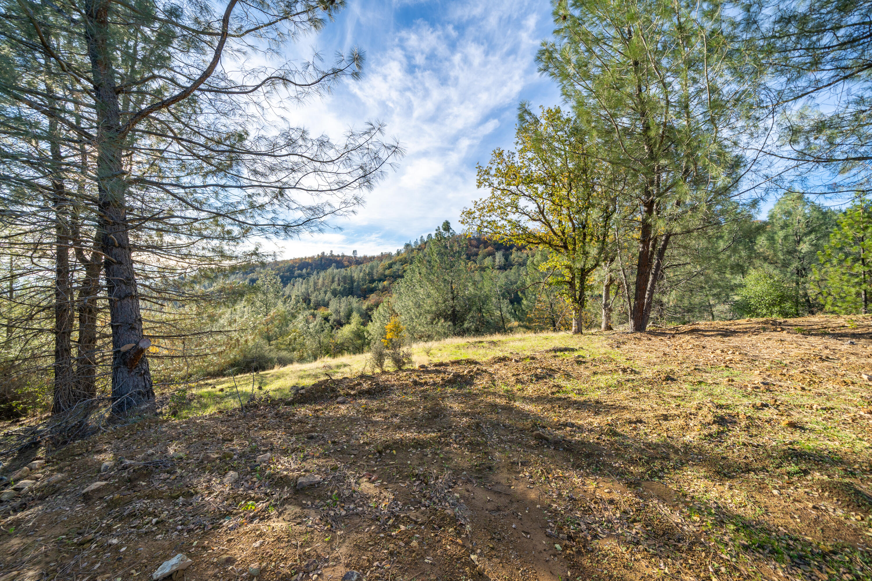 21-acres Estep Ridge Road Oak Run, CA 96069 - Photo 15 of 37 APN 097-320-002-11